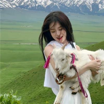 高卢英雄拯救英格兰 海报